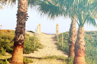 Camping miramar en Tarragona - Mi experiencia - Camping vintage