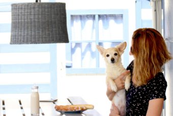 Camping miramar en Tarragona – Mi experiencia – Camping vintage – (9)-min